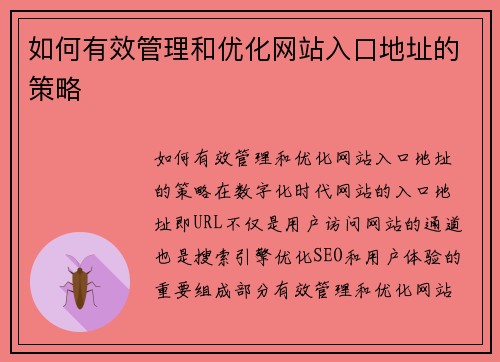 如何有效管理和优化网站入口地址的策略